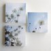 Afternoon Shadows - set of 3 photo blocks