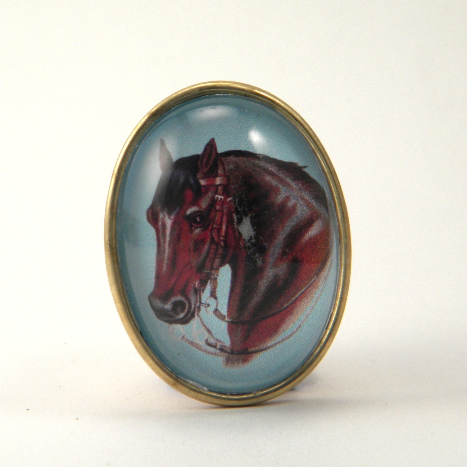 Hay is for Horses Brooch