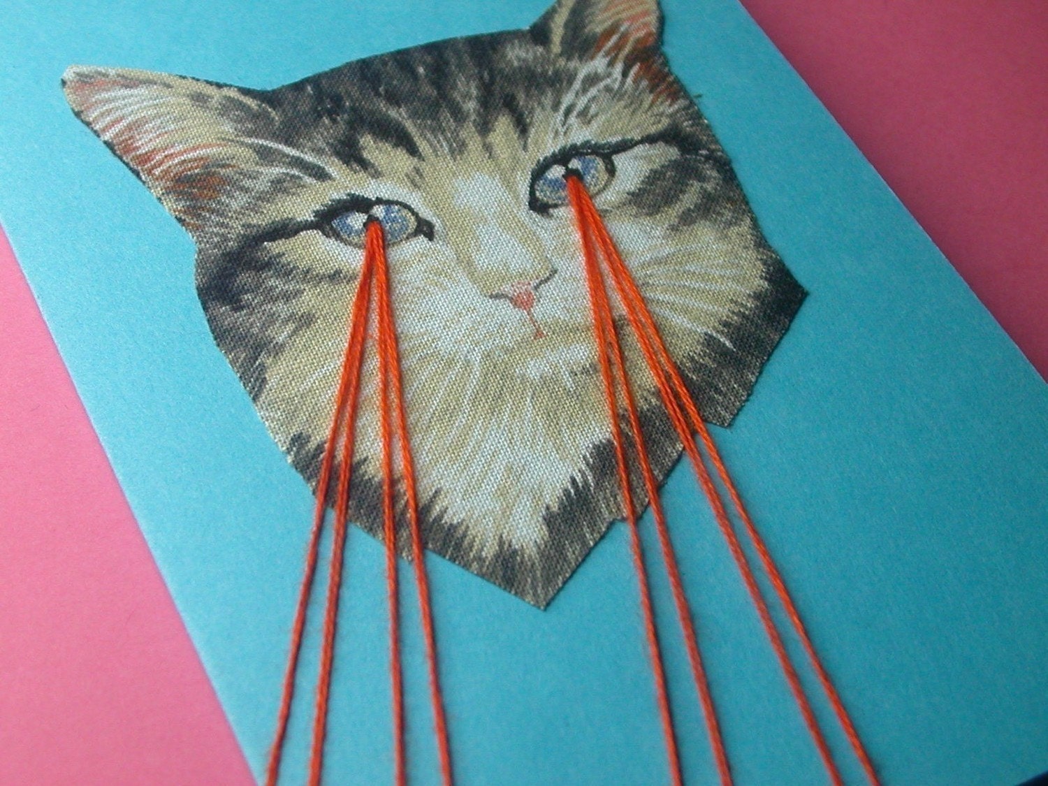 kitten lasers greeting card