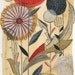 zinnias & dandelions No.1 - 11X14 GICLEE PRINT, botanical collage, Susan Black