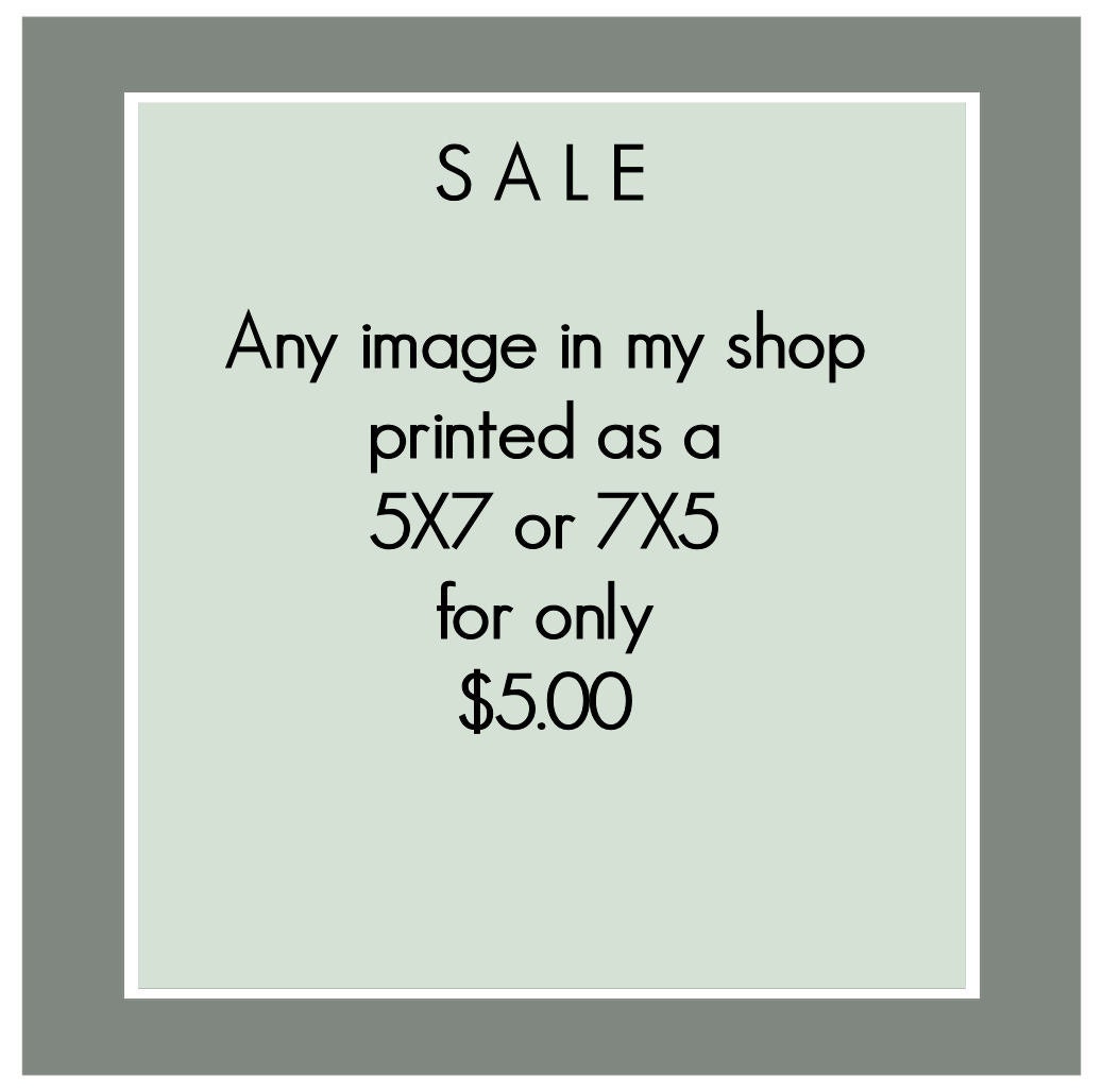 Any Image in My Shop Printed as a 5X7 card Paris Vintage Ladies Famous Places Collage Photography Holiday Gift