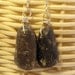 Dark Grey Crinoid Hash Beach Stone Sterling Silver Earrings