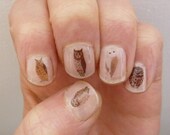 owl nail transfers