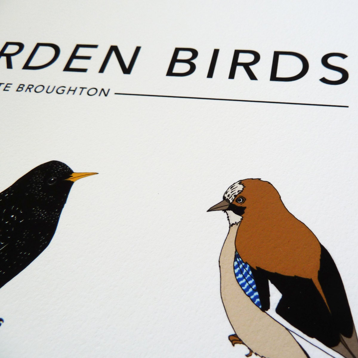 British Garden Birds print