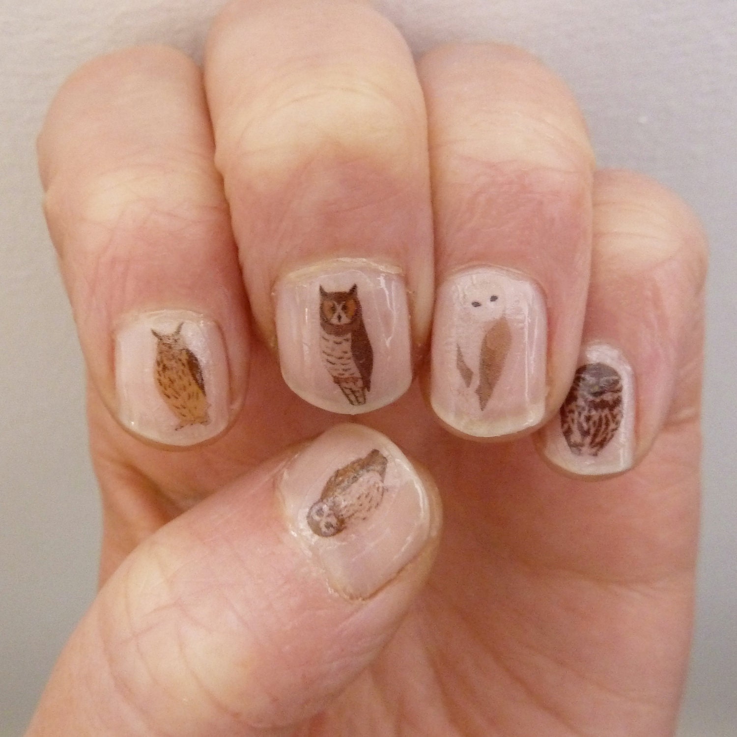 owl nail transfers