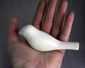 A Simple Bird