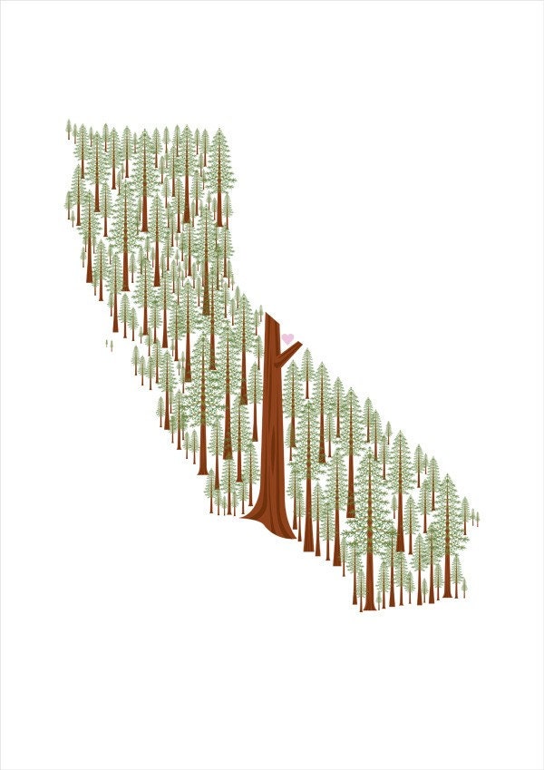 California Redwoods print