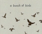 a bunch of birds - limited edition print 1/100
