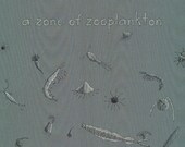 a zoo of zooplankton - limited edition print 1/100