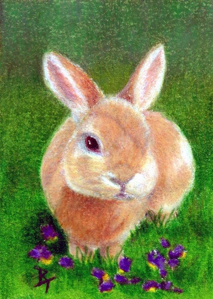 Clover aceo Original