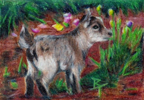Kid aceo Original