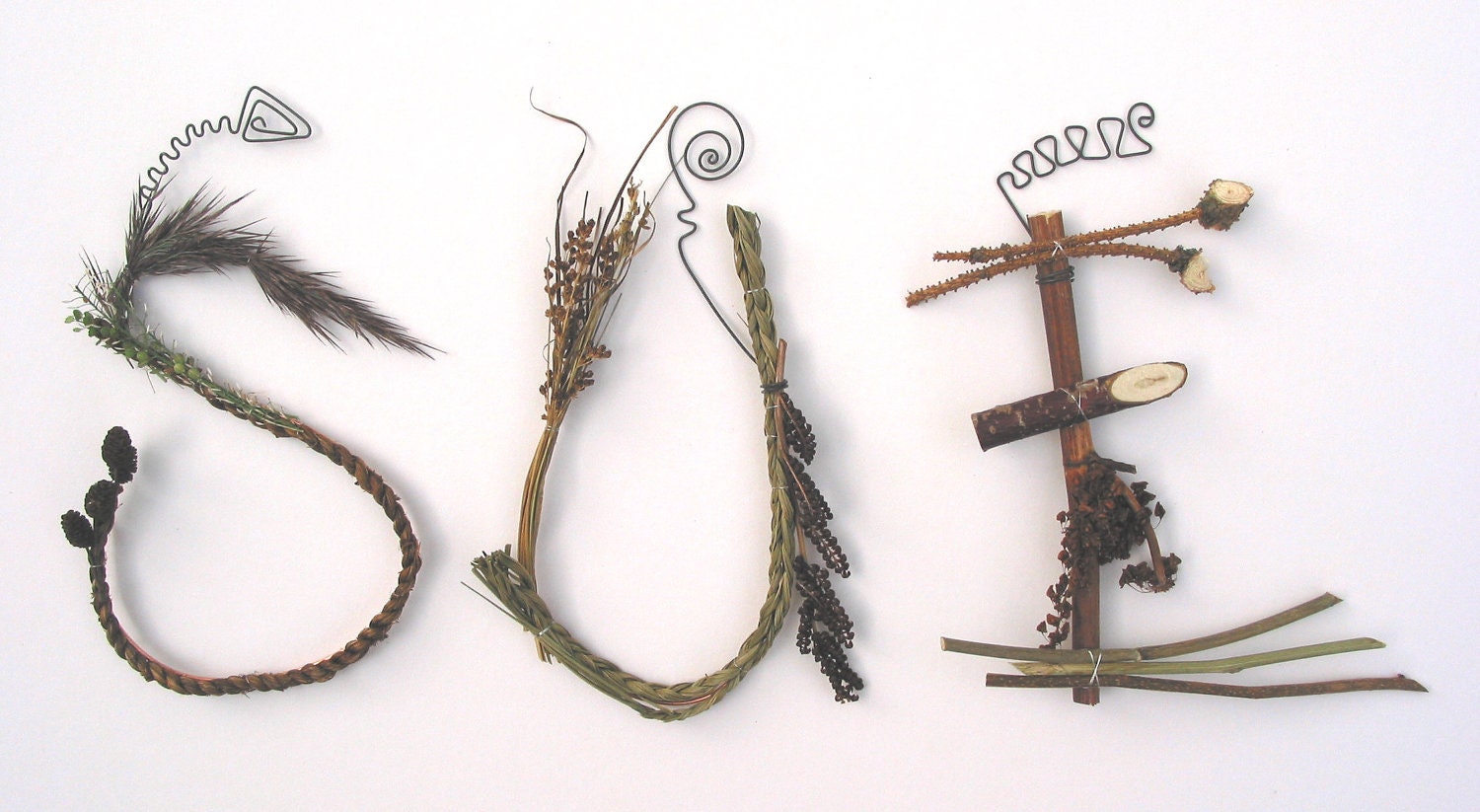 3 Letter twig word