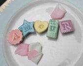 Amour Porcelain Letter Magnets
