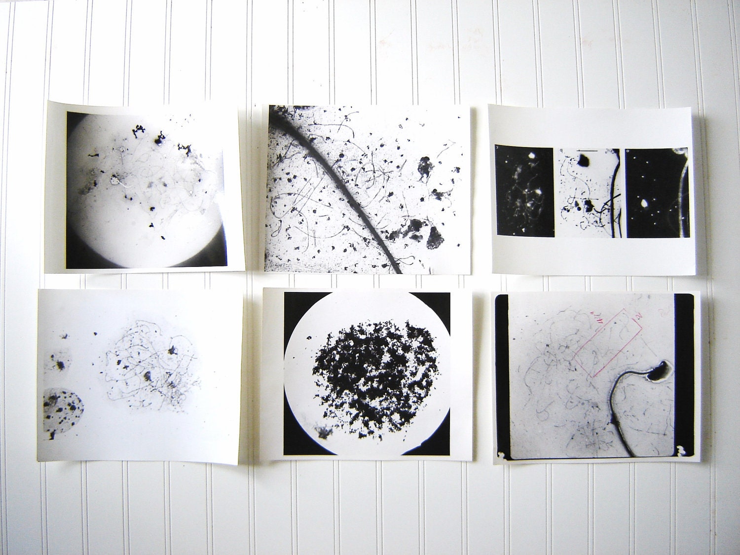Vintage Laboratory Photographs