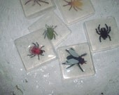 Kids soaps   Bugs,Snakes, Lizards, Frogs, Butterflies, Beetles, Lady Bugs, Spiders