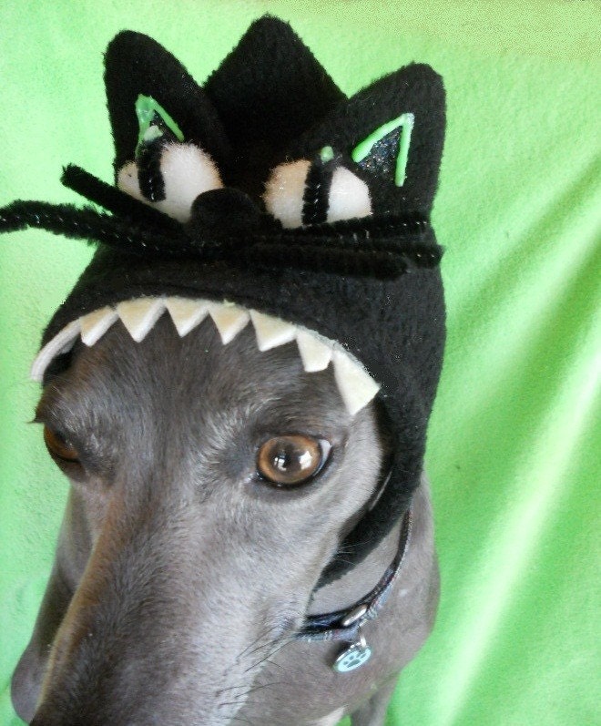 Glowing Black Cat Evil Kitty Pet Hat-small custom made