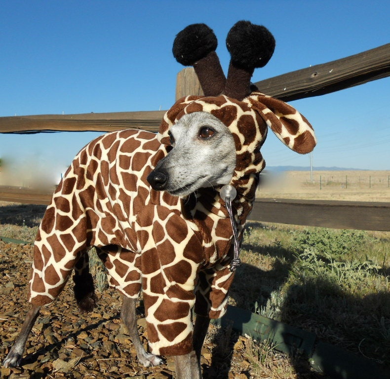 Tiny Giraffe XS Pet Costume Jammies have your own lap giraffe- teacup and toy dogs 2-6 pounds