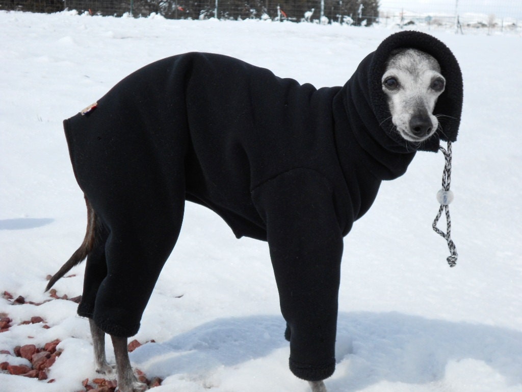 Famous Fit Black WindPro Fleece Italian Greyhound Warm Snow Suit-custom made