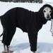 Famous Fit Black WindPro Fleece Italian Greyhound Warm Snow Suit-custom made