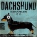 DACHSHUND records album style artwork graphic illustration giclee print by stephen fowler