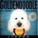 Goldendoodle Coffee Company original graphic illustration on canvas 12 x 12 stephen fowler