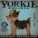 Yorkie Yorkshire Terrier records original graphic art giclee archival print 12 x 12