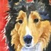 Shetland Sheepdog Sheltie Art Print of Original Watercolor Painting 11x14