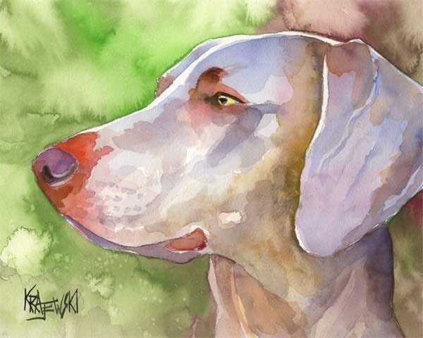 Weimaraner Art Print of Original Watercolor Painting - 8x10