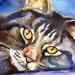 Norwegian Forest Cat Art Print of Original Watercolor Painting 11x14