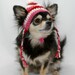 Dog hat crocheted, XS/SM, Pink, Red, White, Valentines Day favorite