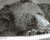 Moon Bear Drawing - Original Pencil ACEO - Ranlett - A4C