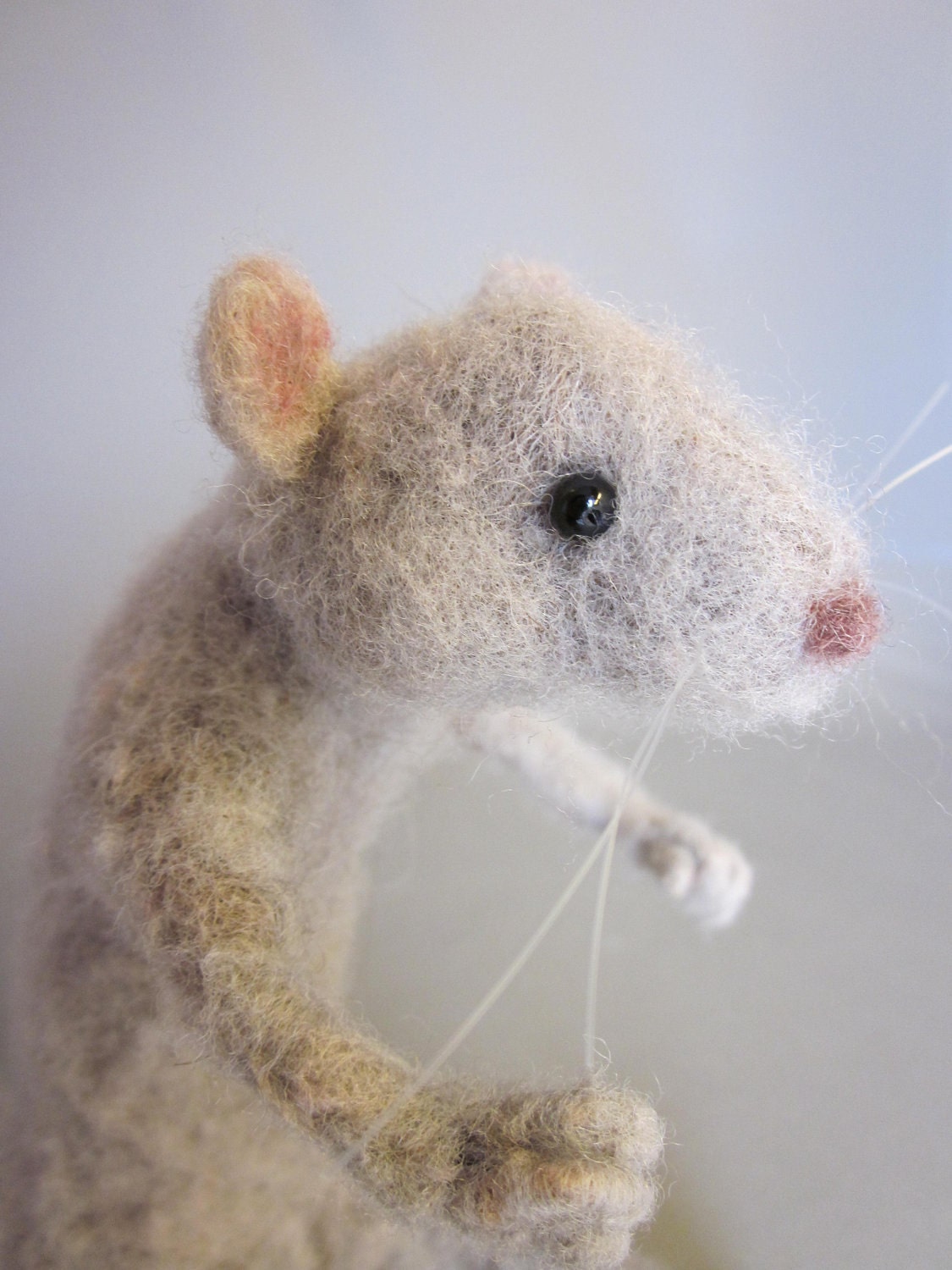Lanky Woolen Rat