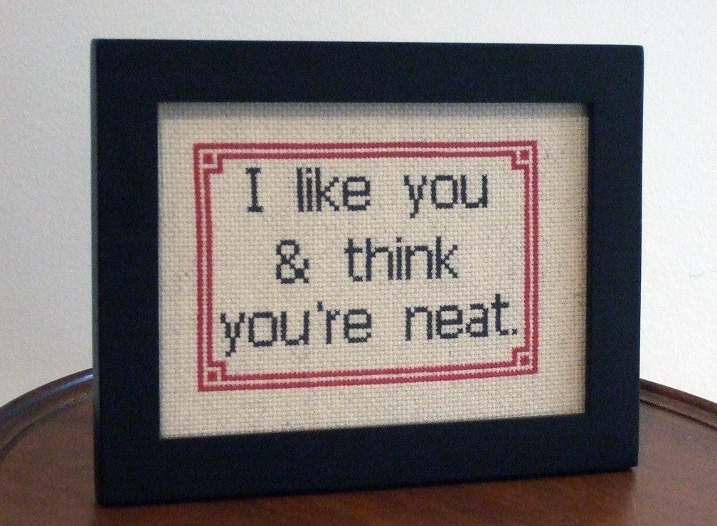 I like you and think you're neat - Framed Cross Stitch