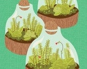 terrariums print 5x7