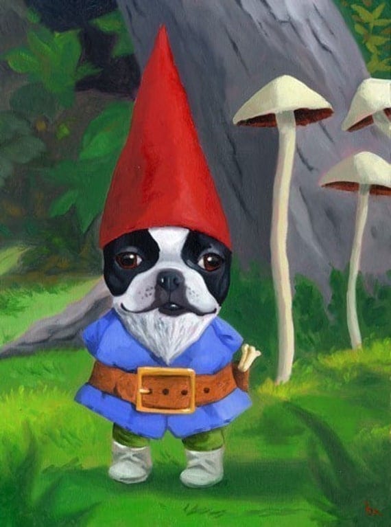 Gnome - Boston Terrier Dog Art Print