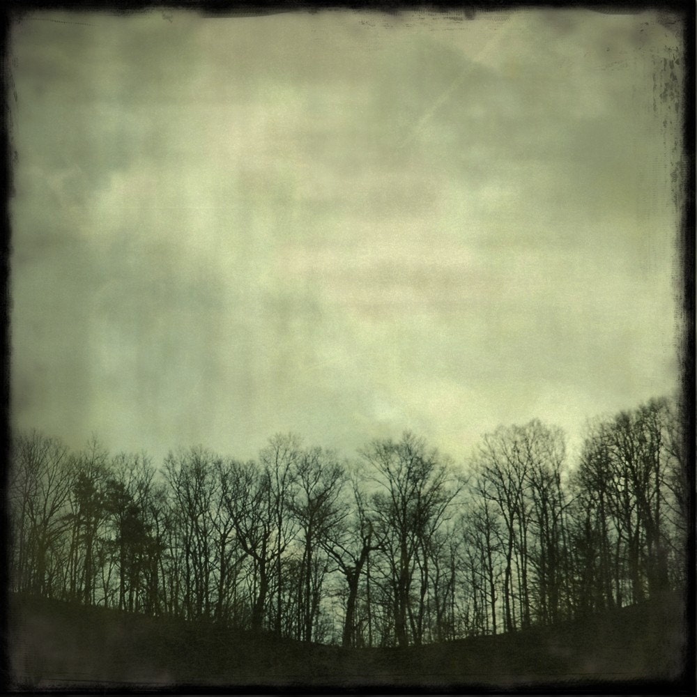 The Calm Before the Storm - 12x12 Art Photography