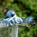 Octopus Glass Straw Pick your color custom