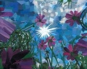 purple cosmos (print)