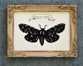Salt Marsh Moth - Hand-Cut Silhouette Papercut, Framed