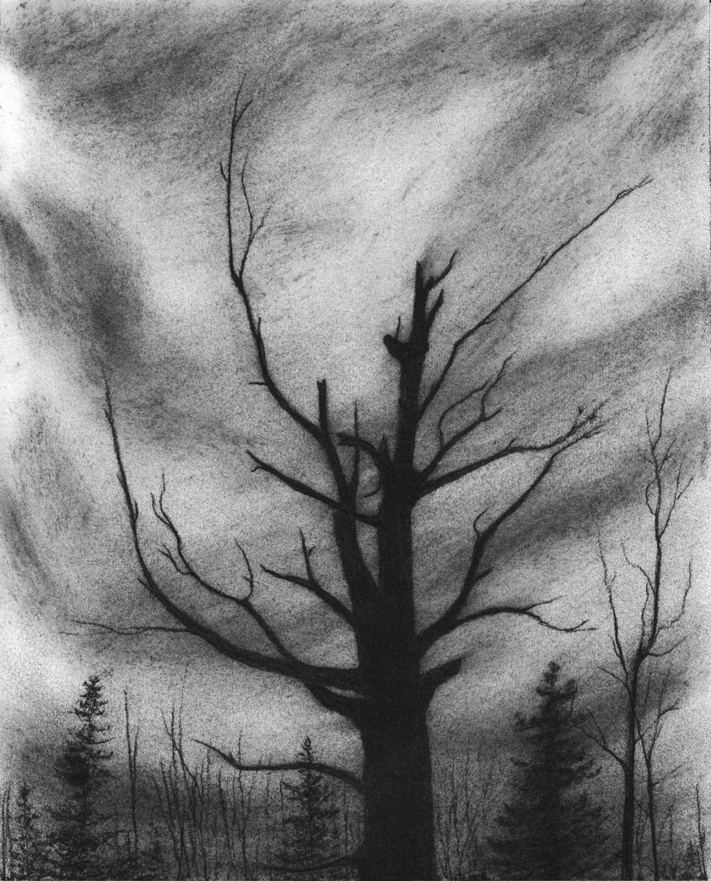 lightning tree PRINT