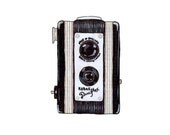 Duaflex Camera Digital Art Print