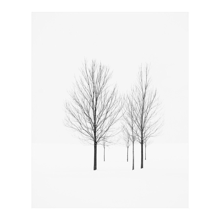 Elviage Pearl - Black and White Winter Landscape Photography, Monochromatic Christmas trees in a Snowy Field - 8x10