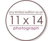 Any Limited Edition Landscape Photograph as an 11x14 inch Print - Custom size great for the office, kitchen, and dining room