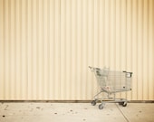 Shopping Cart - 3.75x3 Modern Fine Art Photographic Print Matted to 10x8