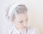 Weddings-Veil-Off-White-Ivory-Bridal-Head-Piece-Fascinator-Head-Band-Birdcage-Veil-Swarovski-Dragonfly-Silver-Brooch-Free-Worldwide-Shipping