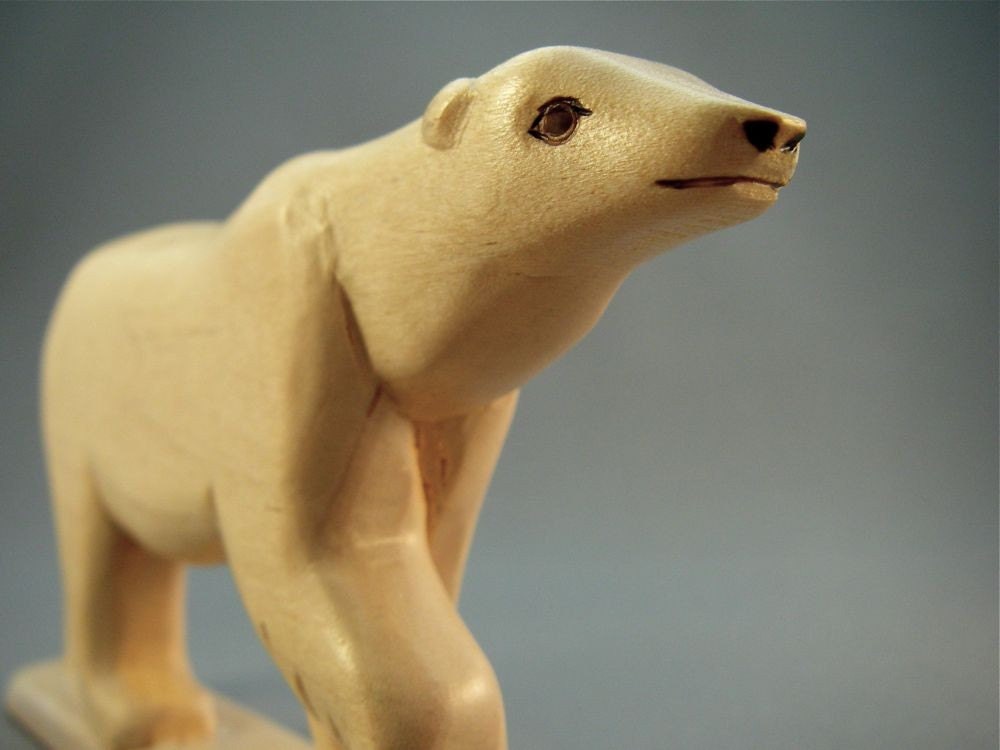 Polar Bear