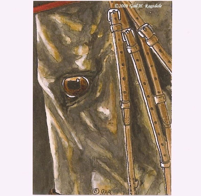 Saddlebred Morgan Arabian Horse Eye 2 Limited Edition Print Mini Art by Gail aceo
