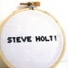 Arrested Development, Steve Holt. Embroidery Hoop Art, Cross stitch. embroidered quote, 3 inch hoop