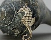Aged White Brass Seahorse Charm
