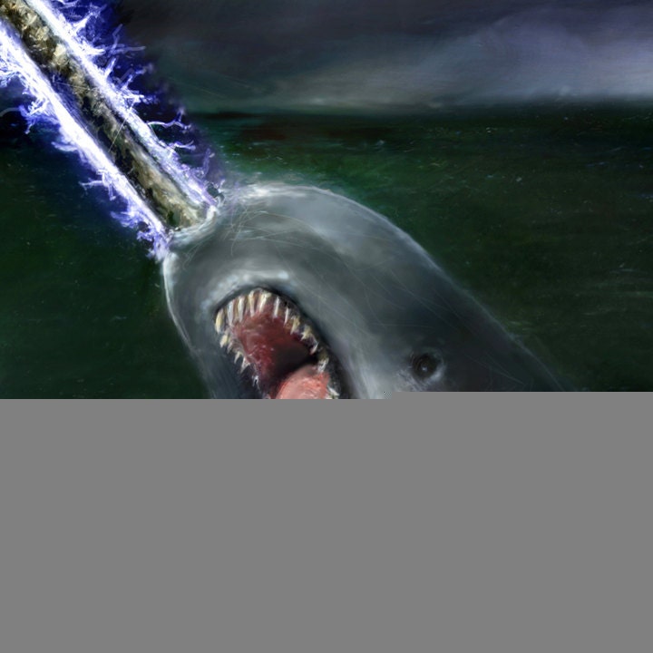 Leviathan freaking sized Shark vs Narwhal 24x36 holy f'n crap this s--t  is huge